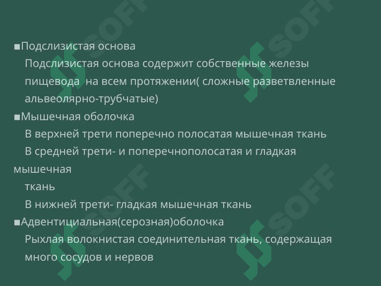 Пищеварительная система. Пищевода,желудок и кишечник. 6
