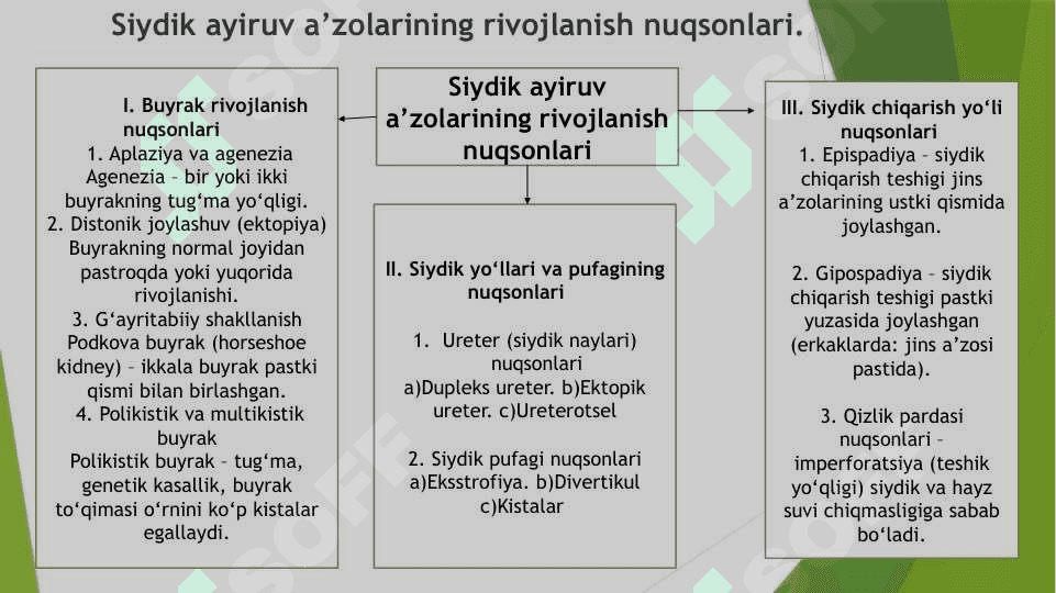 Anatomiya logichiskiy 4