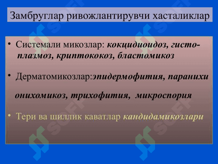 Замбругларга карши воситалар 3