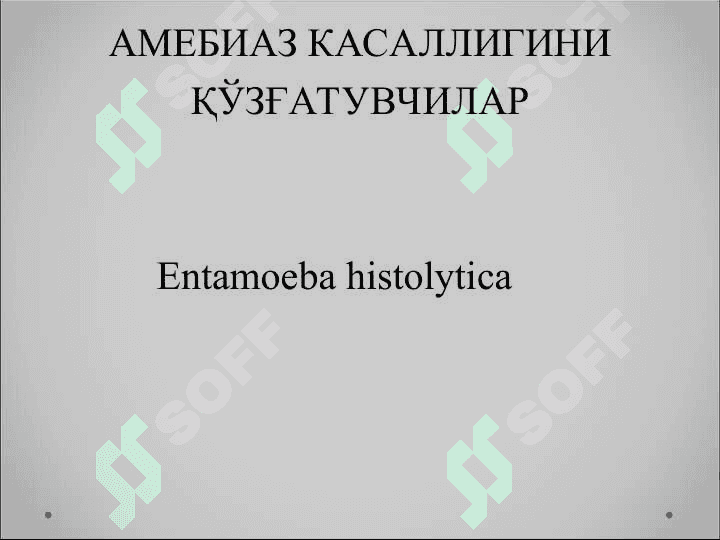 ПРОТОЗООЛАРГА ҚАРШИ МОДДАЛАР 8