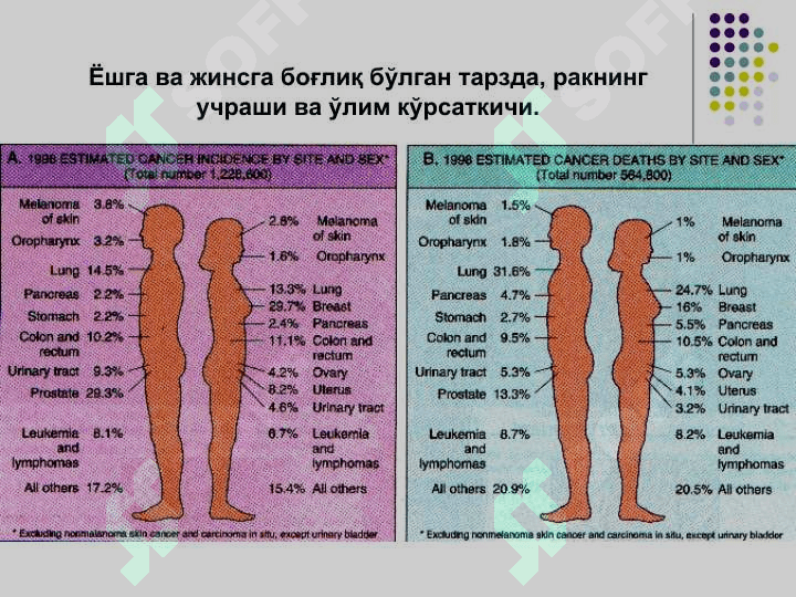 ЎСМАЛАР 4