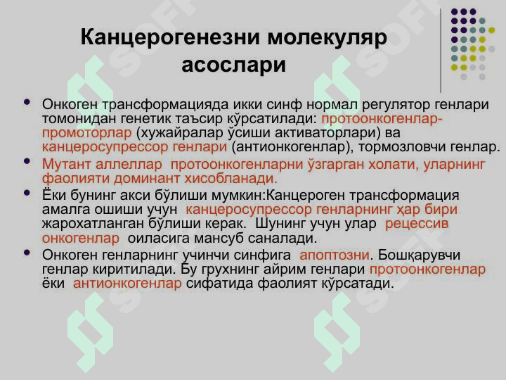 ЎСМАЛАР 7
