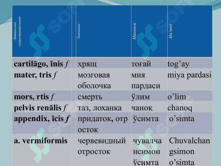 III-turlanishdagi jenskiy roddagi otlar 3
