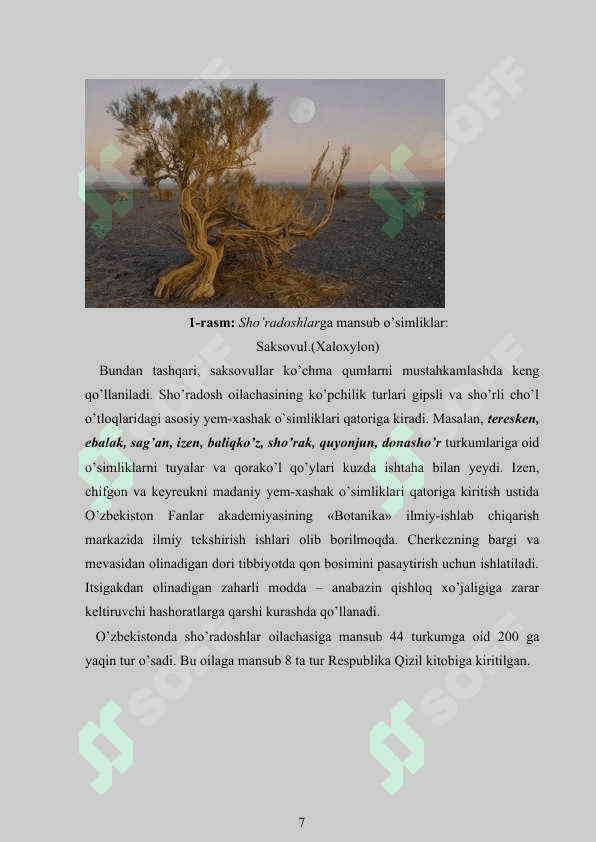 SHO`RADOSHLAR OILASI 7