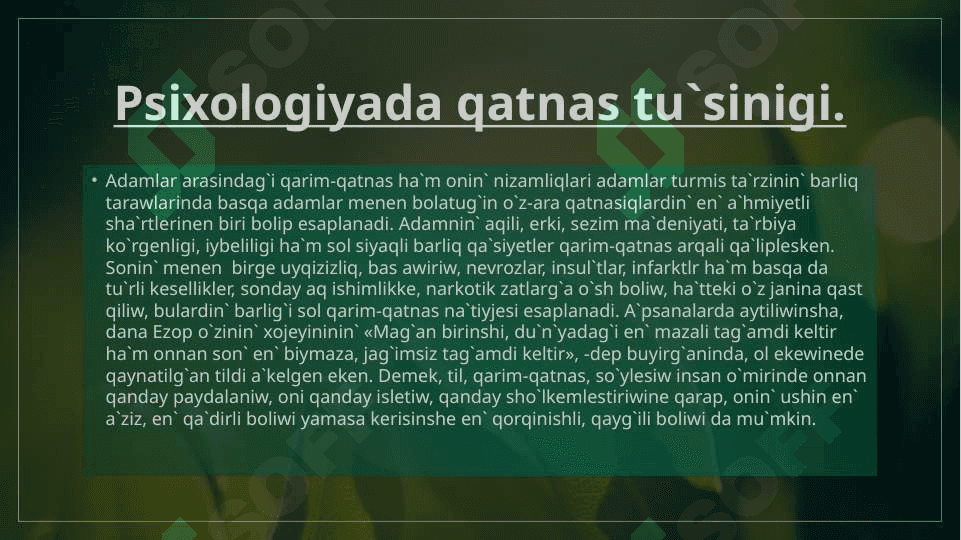 Qarim-qatnas 2