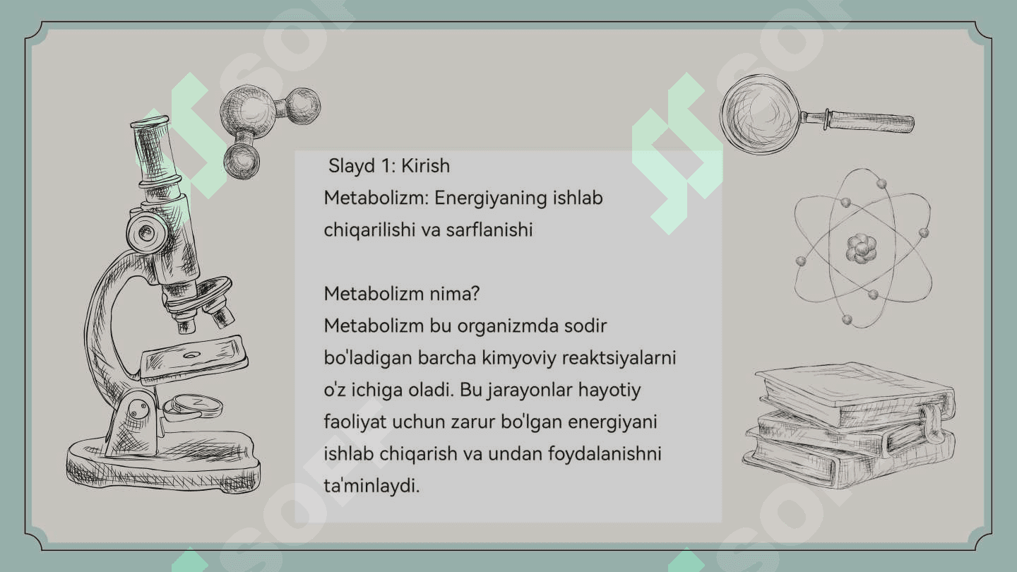 Metabolizm jarayonida energiya hosil boʻlishi va sarflanishi 2