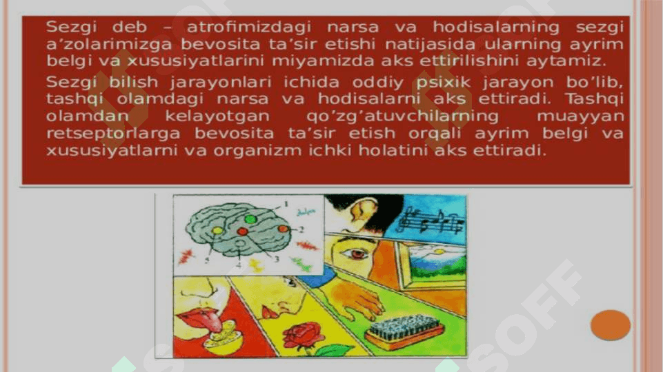 Shaxsning ijtimoiy borliqni bilishi. 4