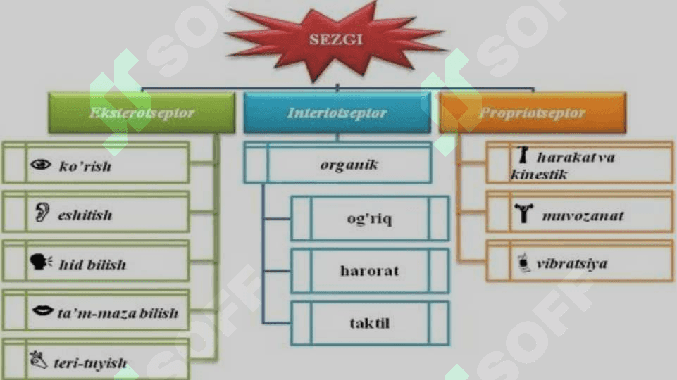 Shaxsning ijtimoiy borliqni bilishi. 5