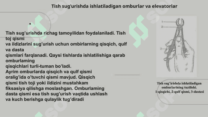 Tish olish operatsiyasi va ishlatiladigan asboblar 3