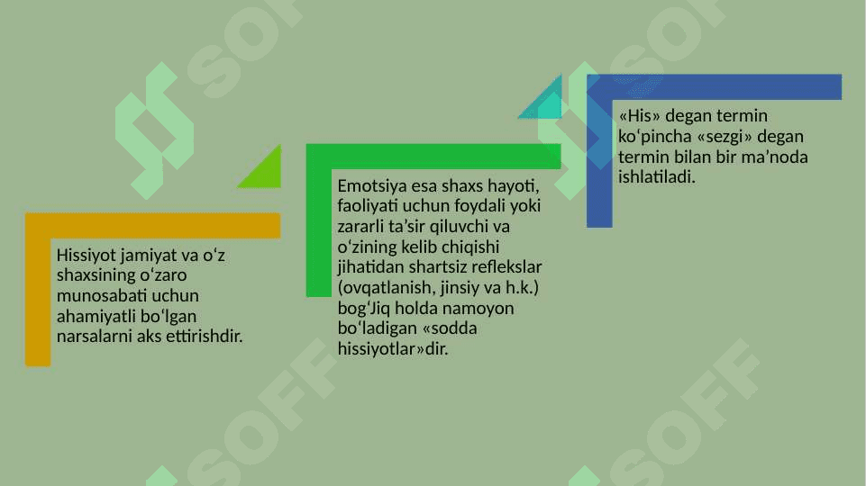 HISSIYOT HAQIDA TUSHUNCHA kurs ishi slayd 30.pptx 8