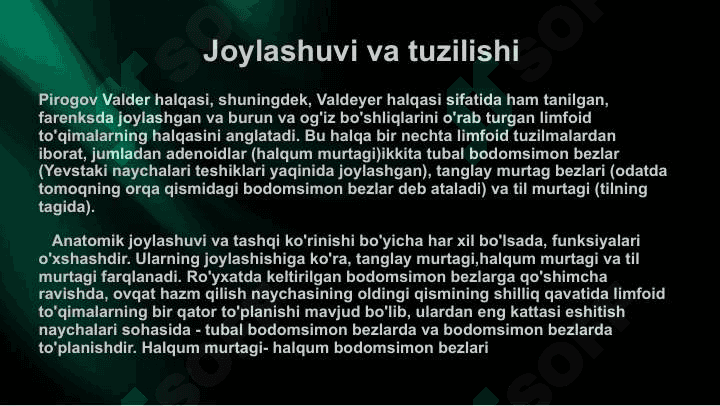 Pirogov- Valdeyer halqasi 2