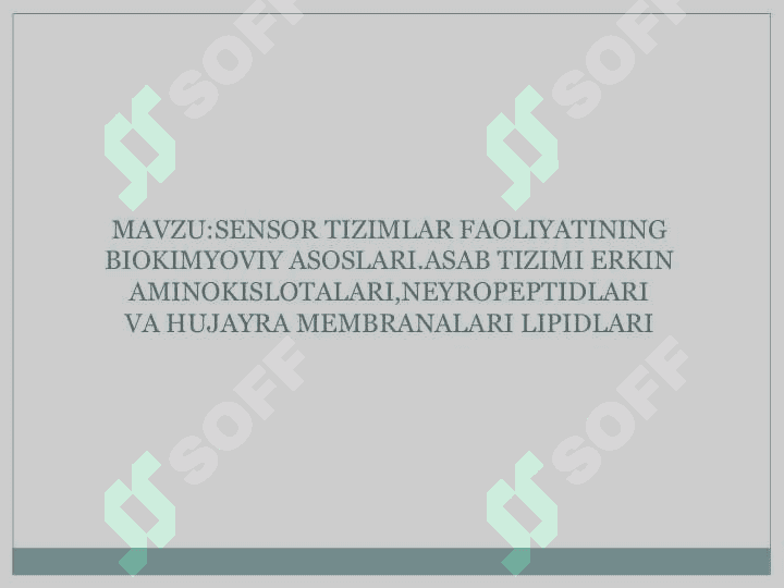 Sensor sistemalar 2