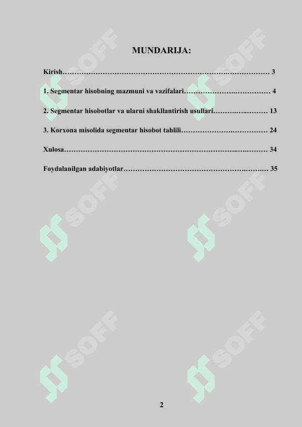 Korxonaning segmentar hisoboti 2