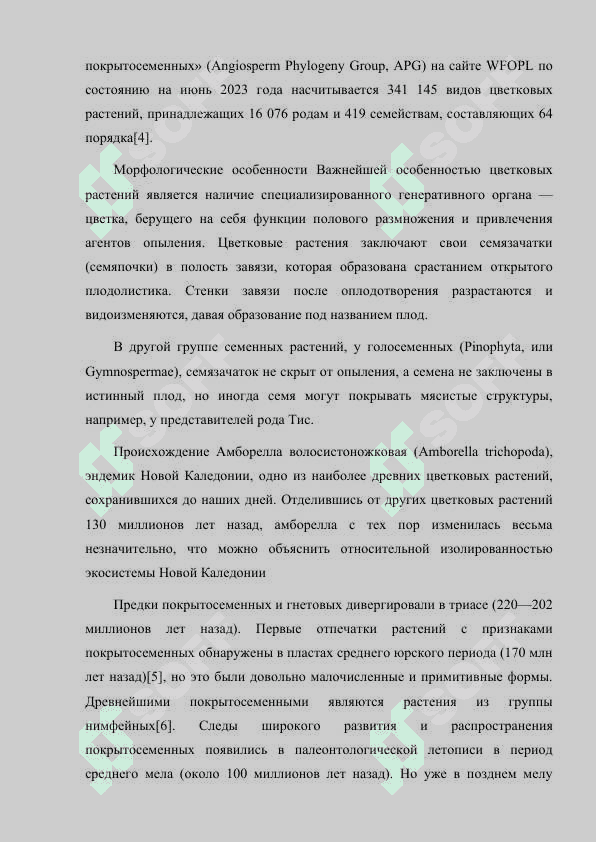 РАЗНООБРАЗИЕ ЦВЕТКОВЫХ РАСТЕНИЙ 3