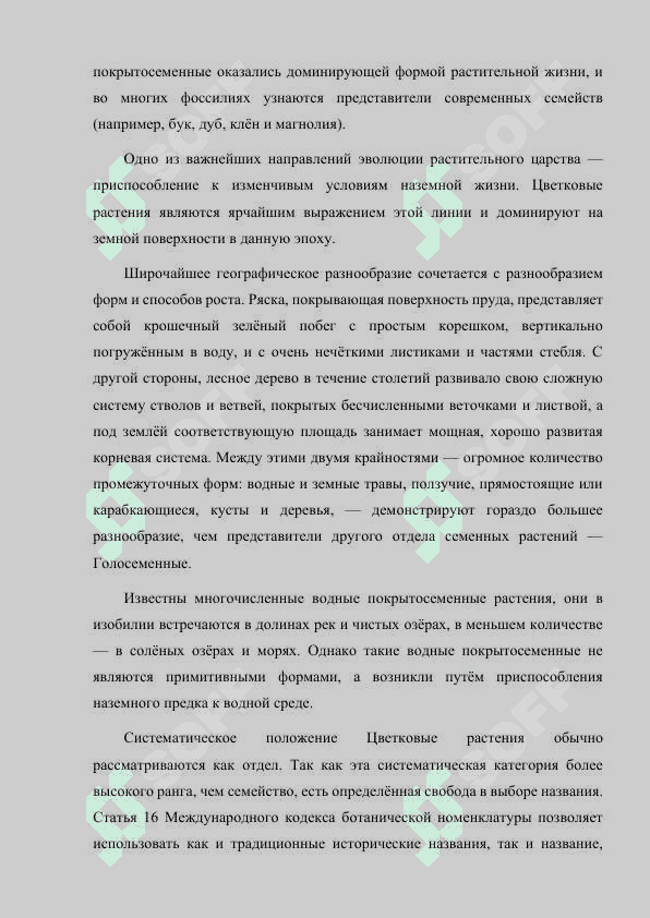 РАЗНООБРАЗИЕ ЦВЕТКОВЫХ РАСТЕНИЙ 4