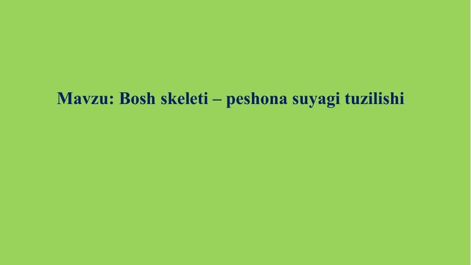 Bosh skeleti – peshona suyagi tuzilishi