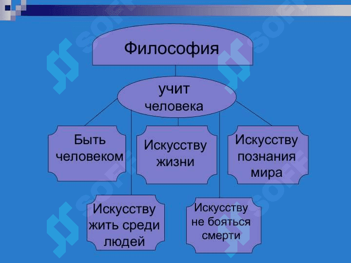Философия, её предмет, смысл, функции и роль в обществе 7