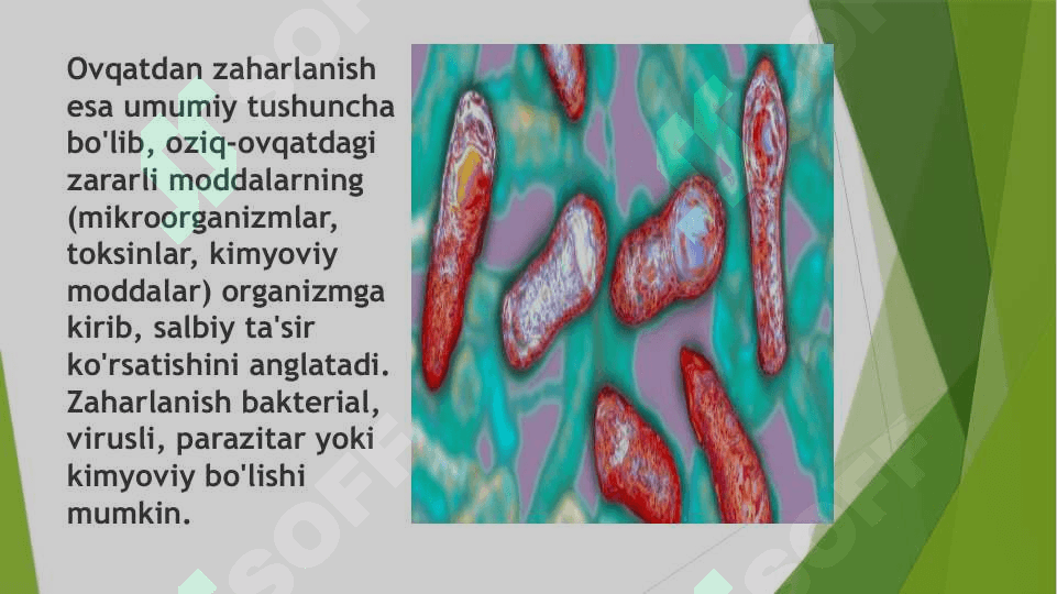 ovqatdan zaharlanish ovqat toksikoinfeksiyalari 7
