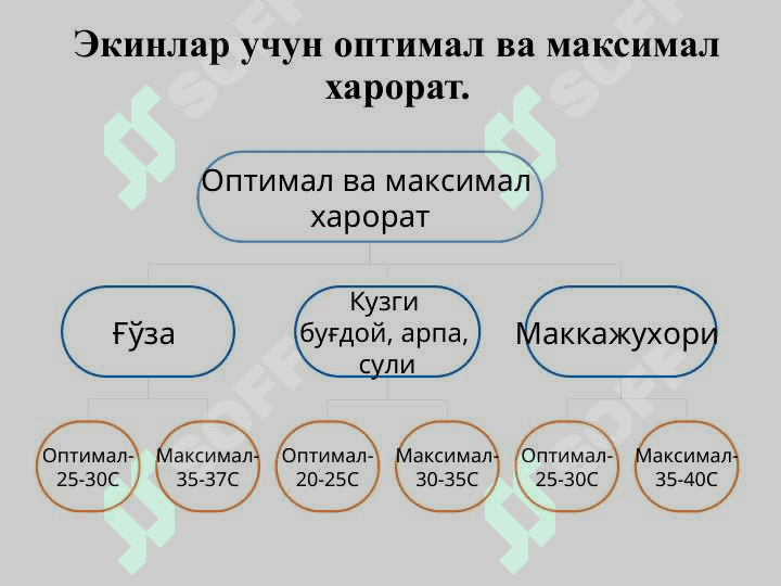 Тупроқнинг иссиқлик ва озиқ режимлари ҳамда уларни бошқариш усуллари 6