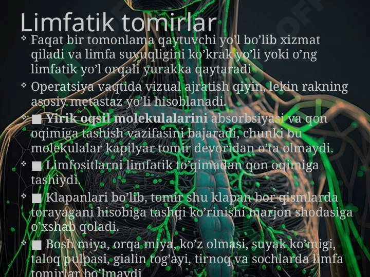 Limfatik sistema va uning immunitetdagi roli 4