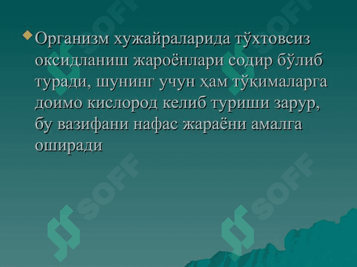 Нафас физиология 2