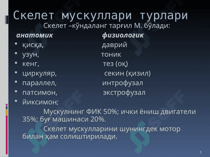 Мускул физиологияси 5