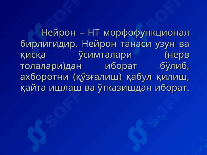 Нерв толаси ва синапслар 4