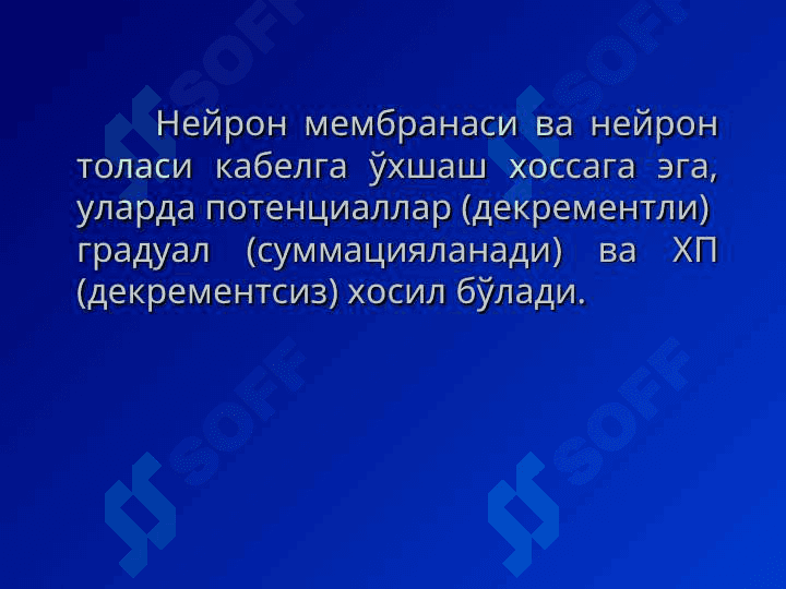 Нерв толаси ва синапслар 7