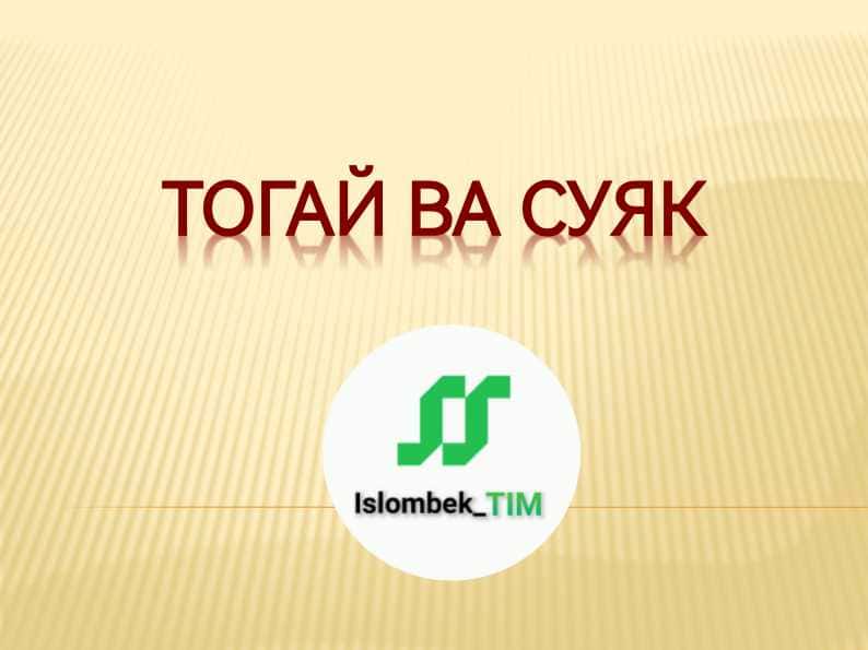 Тогай суяк