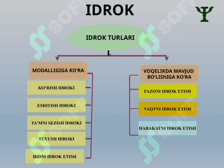 BILISH JARAYONLARI 8