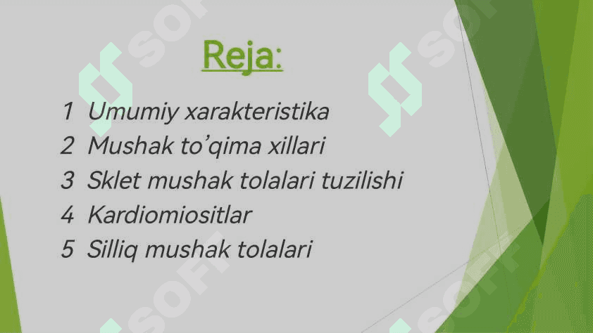 Mushaklar tuzulishi 2