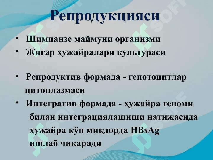 Gepatit A,B,C,E viruslar 6