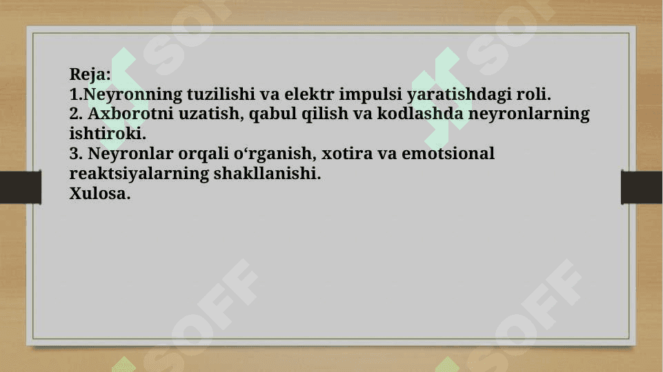 Neyronning asosiy funksiyalari 2