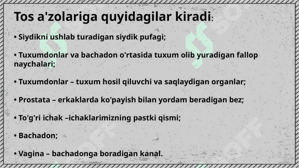 Tos aʼzolari nur tashxisi 3