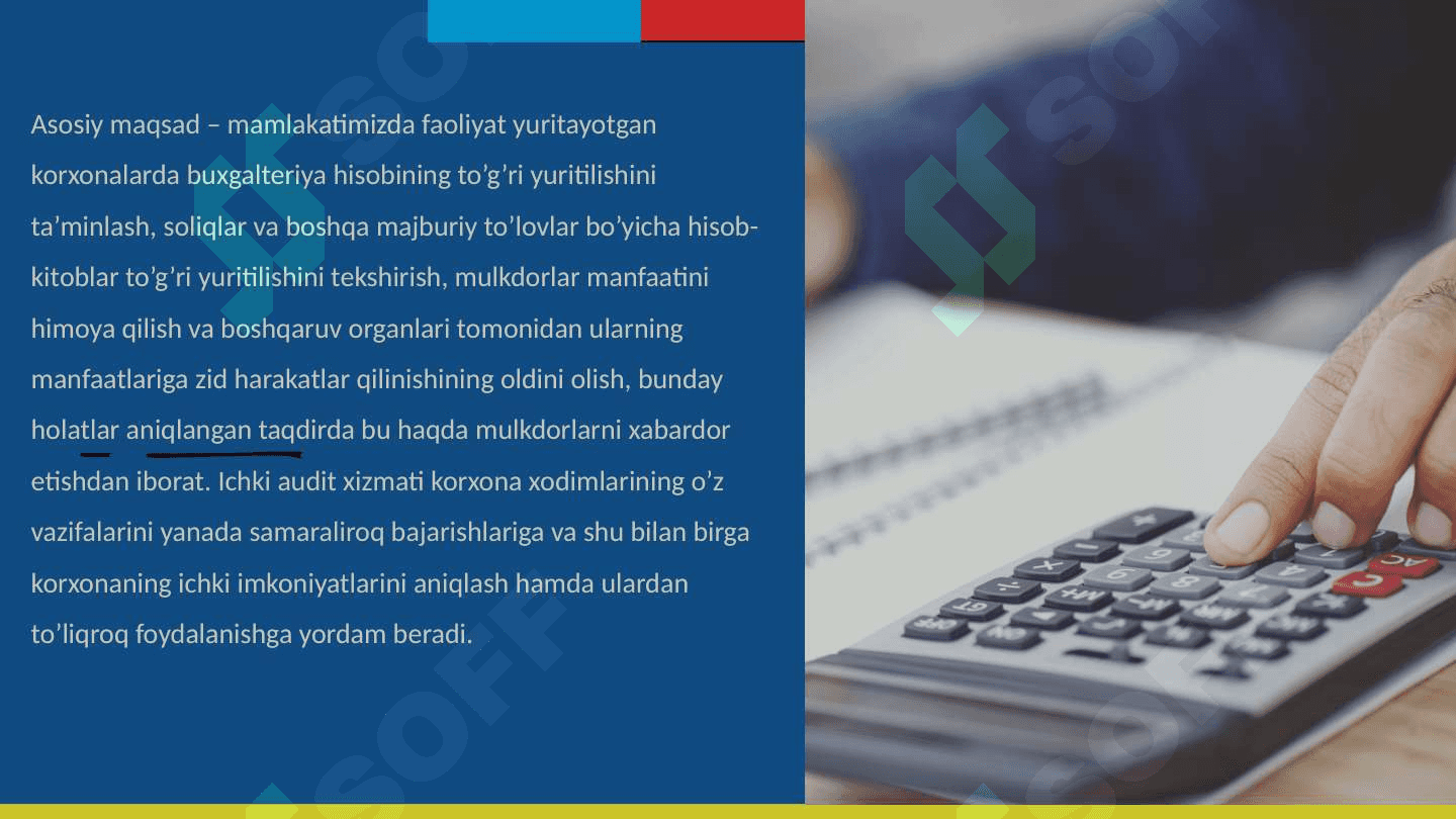 Ichki audit 8