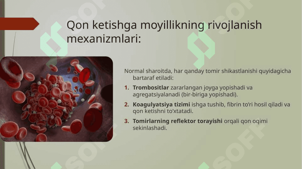 Gemorragik diatezlar haqida ma'lumot va turlari klinikasi 4