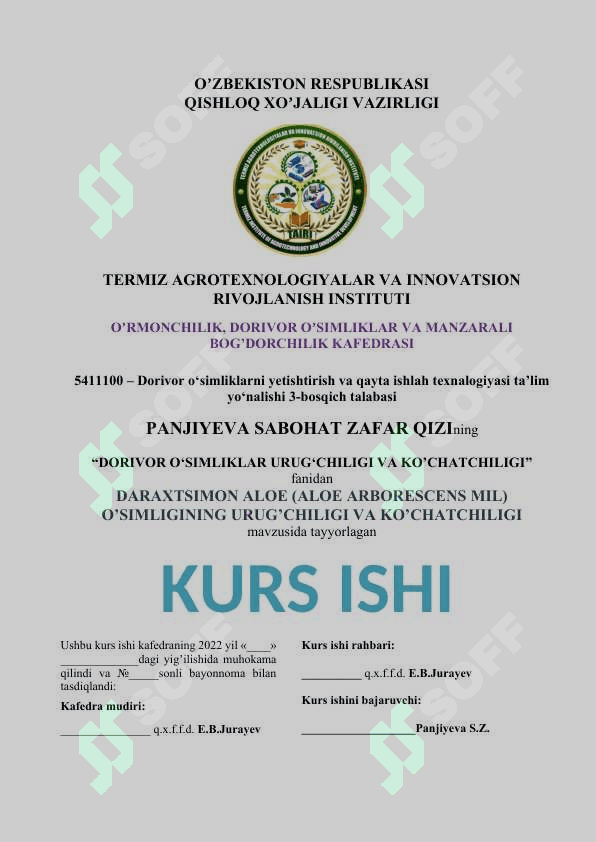 KURS ISHI YUZI OBLOSHKA HISOBOT YUZI DIPLOM ISHI YUZI 2