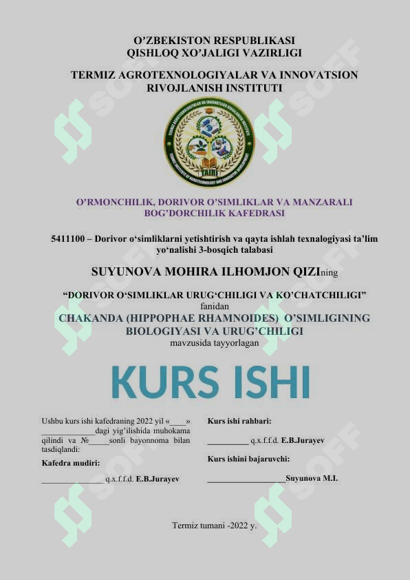 KURS ISHI YUZI OBLOSHKA HISOBOT YUZI DIPLOM ISHI YUZI 4