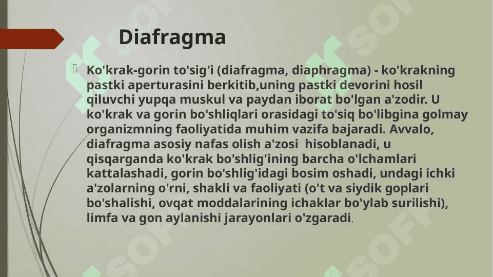 Diafragma topografiyasi. 2