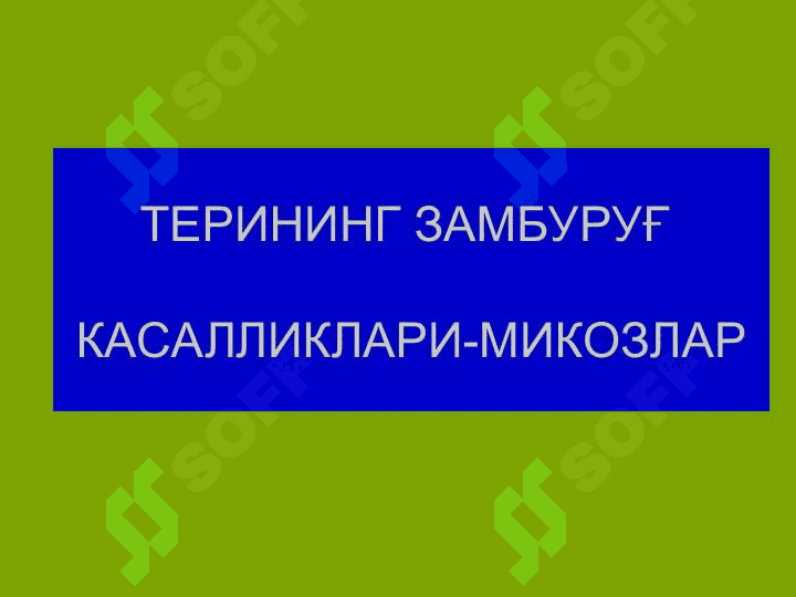 Терининг тузилиши, морфологик элементлари 2