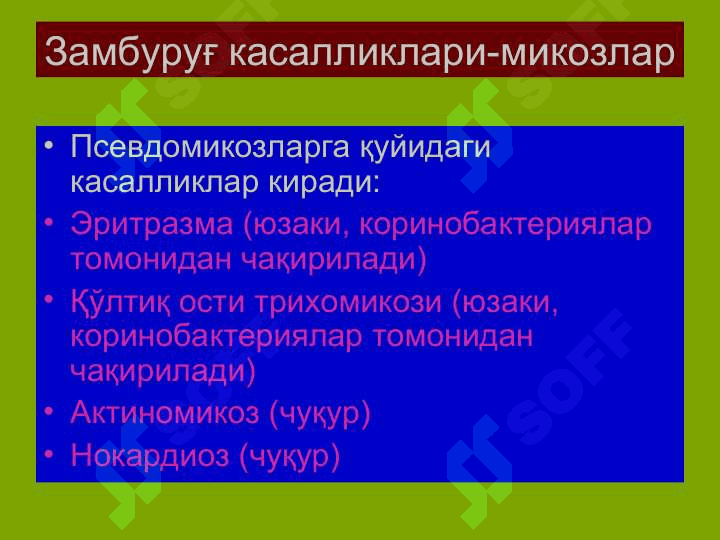 Терининг тузилиши, морфологик элементлари 8
