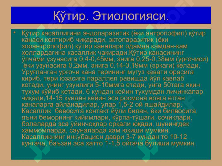 Терининг тузилиши, морфологик элементлари 4