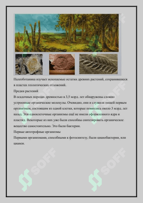 Эволюция растений и их появление в историческом процессе живой природы 2