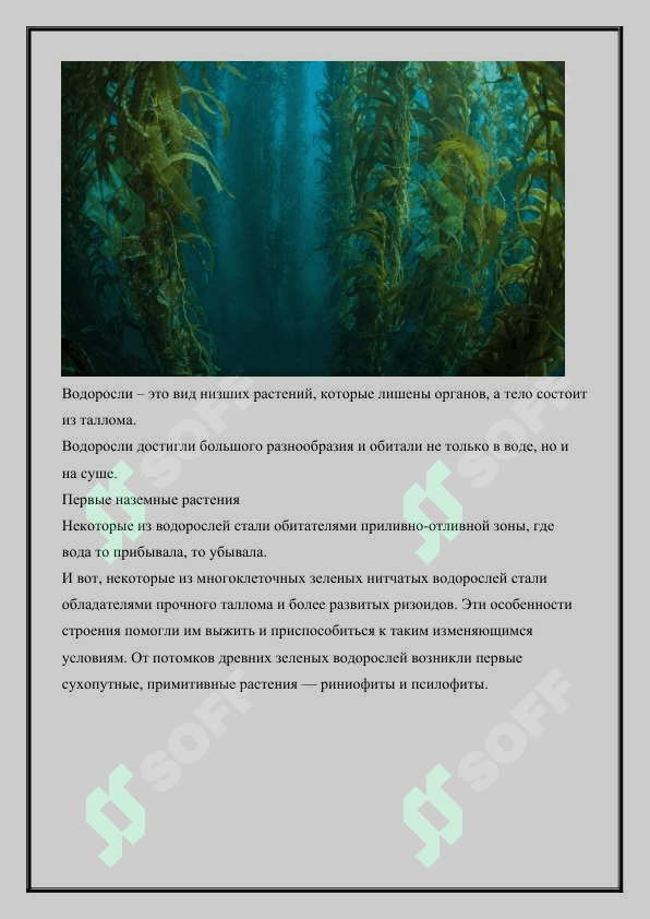 Эволюция растений и их появление в историческом процессе живой природы 5