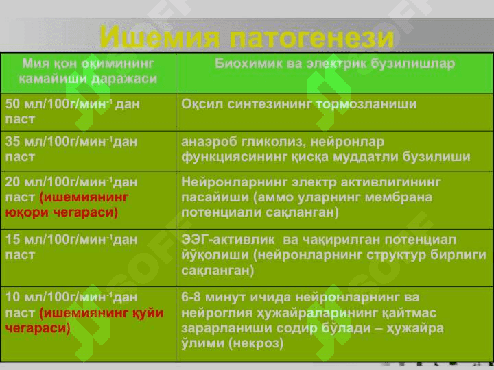 Bosh miyada qon aylanishining o’tkir buzilishlari.Insult. 8
