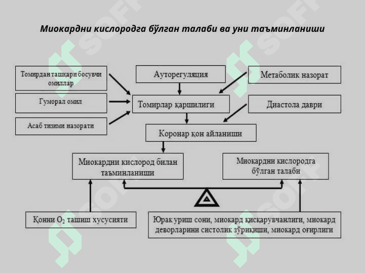 Юрак ишемик касаллиги. 8