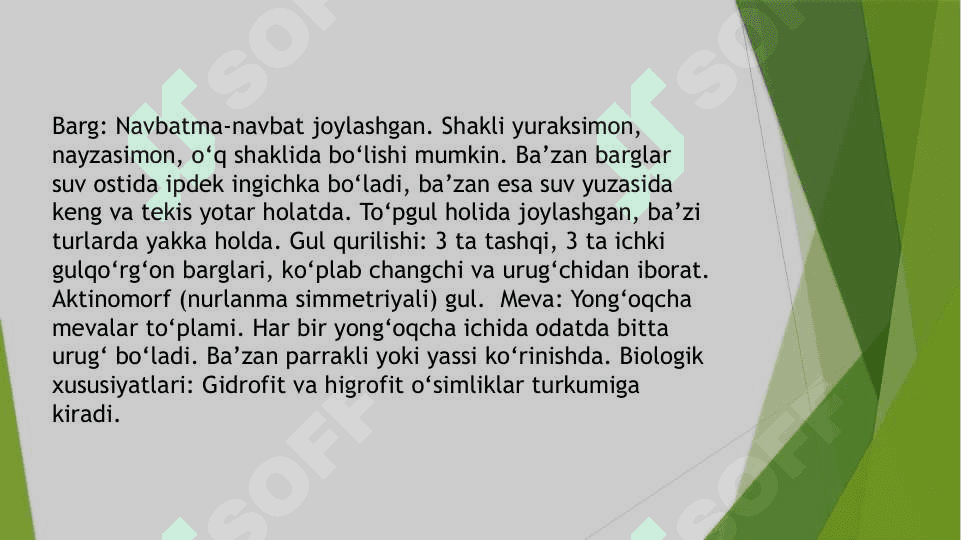 Botqoqguldoshlar oilasi 3
