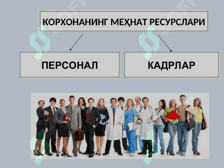 КОРХОНА КАДРЛАР ВА МЕҲНАТГА ҲАҚ ТЎЛАШ 4