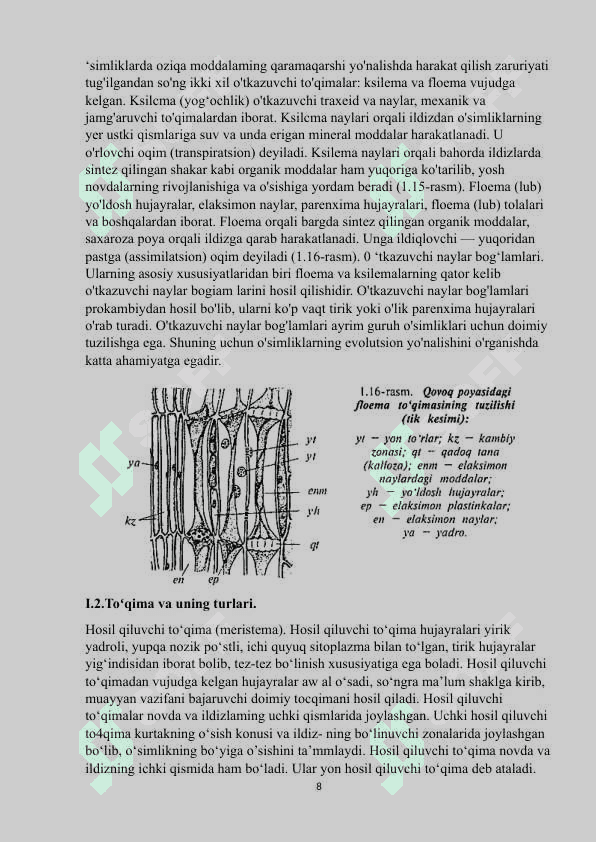 Birlamchi va ikkilamchi merisistema to’qmasi 8