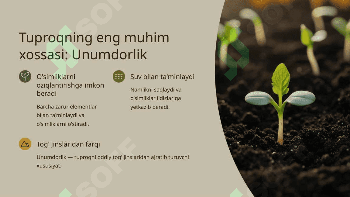 Tuproq va uning tabiiy xususiyatlari 4
